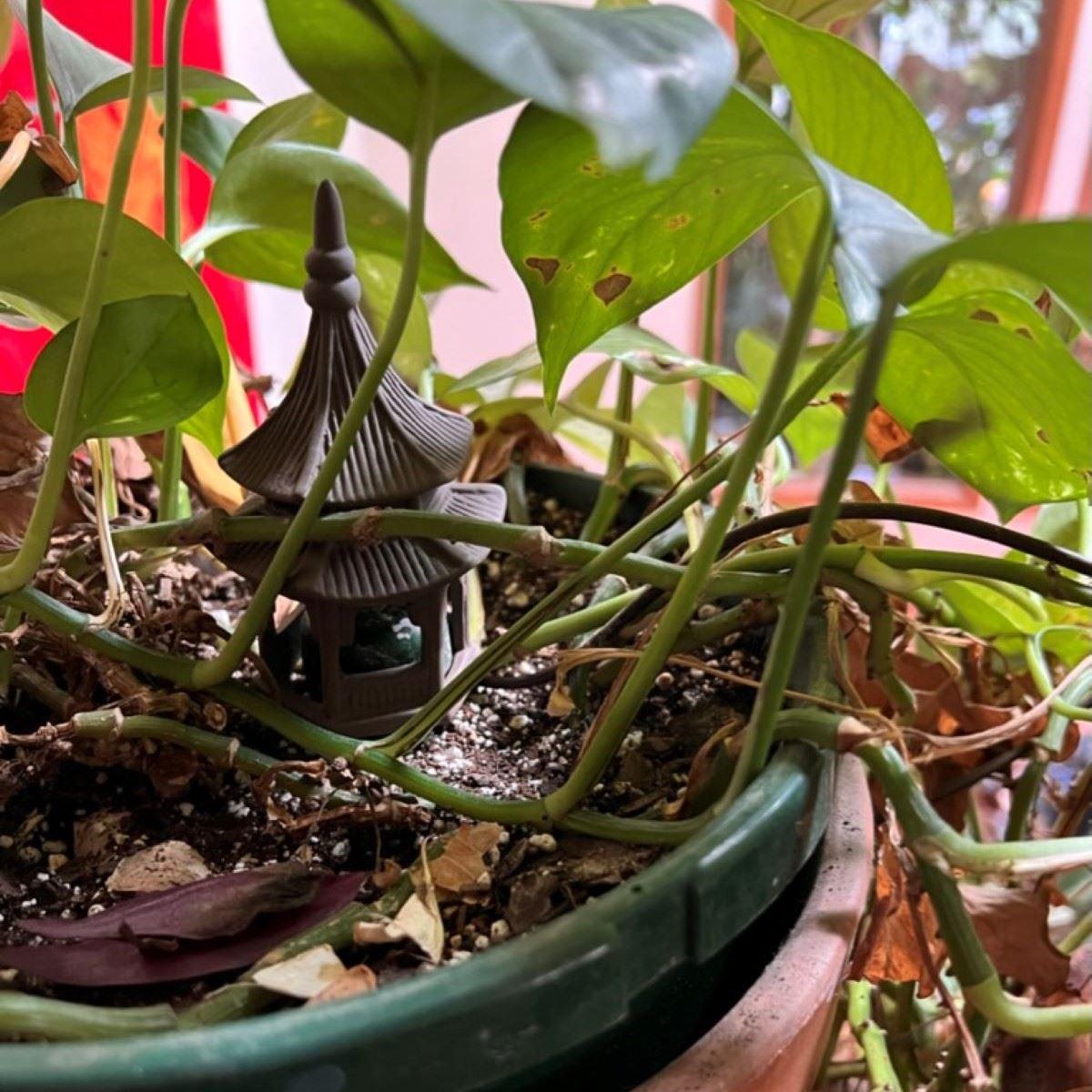 disco plant Disco Ball Planter